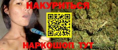 шишки Абакан