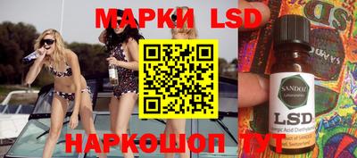 шишки Абакан
