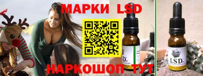 шишки Абакан