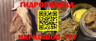 шишки Абакан