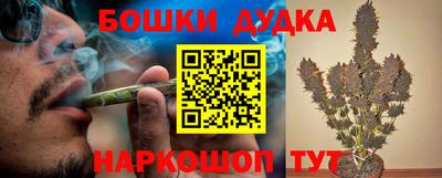 шишки Абакан