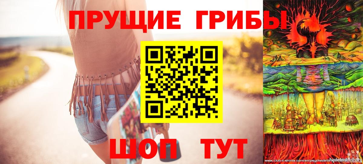 Галлюциногенные грибы мухоморы  Вход с VPN  Галлюциногенные грибы GOLDEN TEACHER  Альметьевск 